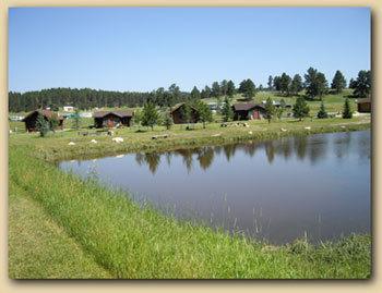 Gold Camp Cabins Custer Zewnętrze zdjęcie